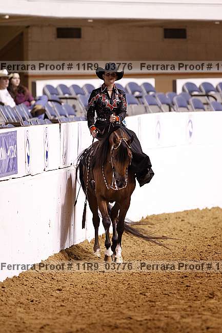 Proof 11r9_03776