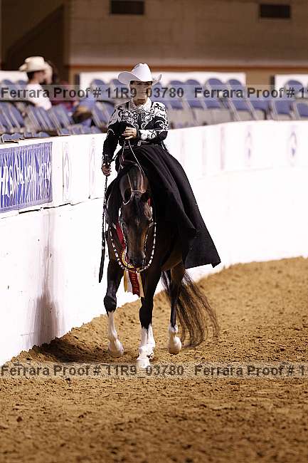 Proof 11r9_03780