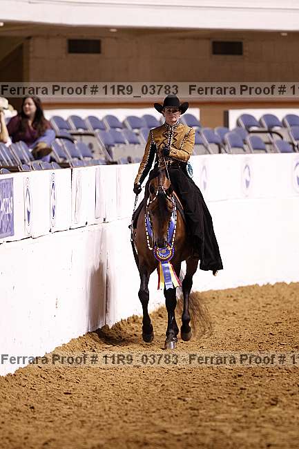 Proof 11r9_03783