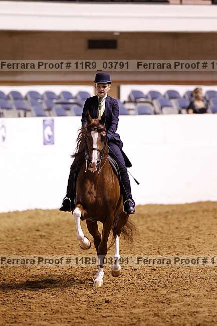 Proof 11r9_03791