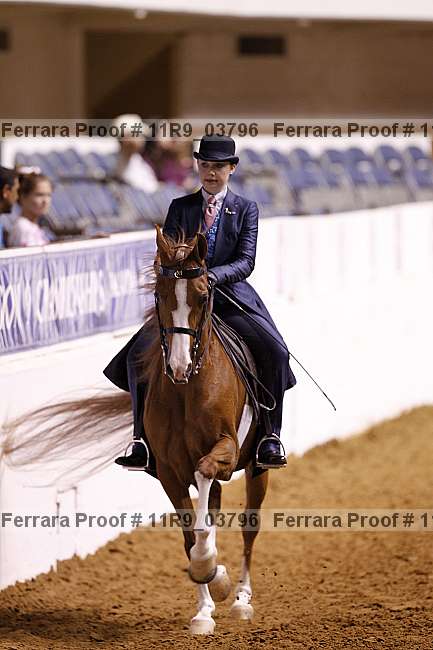 Proof 11r9_03796