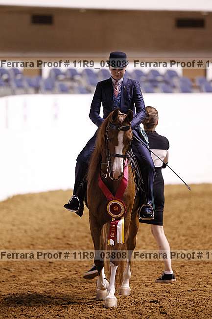 Proof 11r9_03808