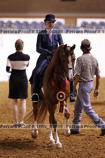 Proof 11r9_03809