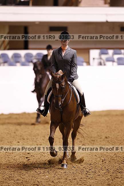 Proof 11r9_03833