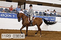 11r9_03834 proof