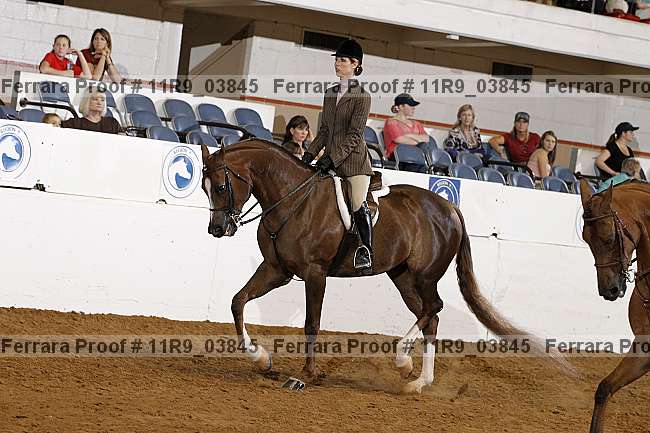 Proof 11r9_03845