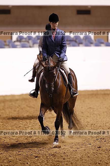 Proof 11r9_03852