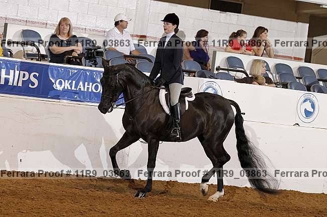 Proof 11r9_03863