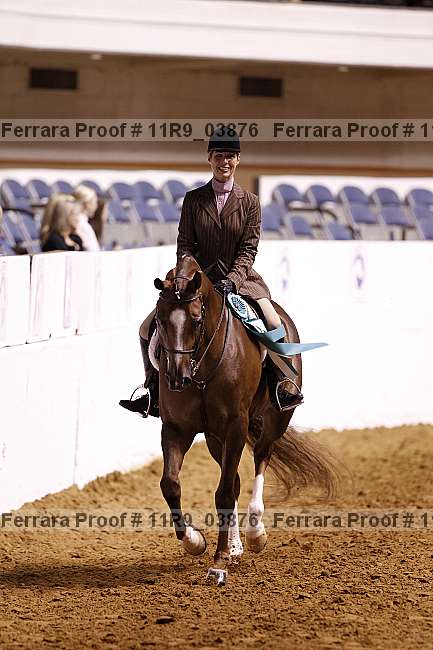 Proof 11r9_03876