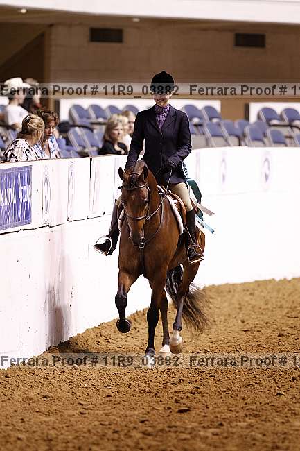 Proof 11r9_03882