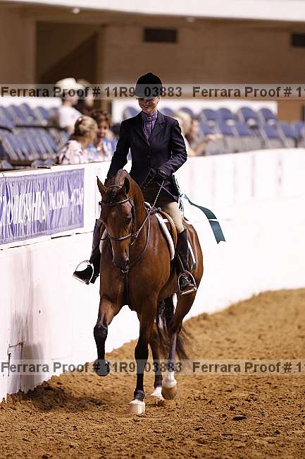 Proof 11r9_03883