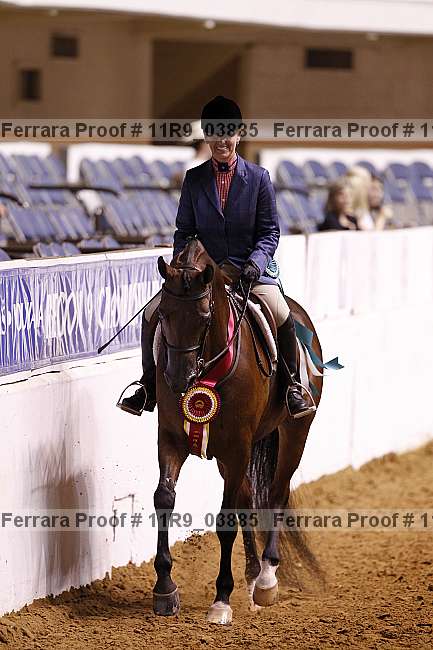 Proof 11r9_03885