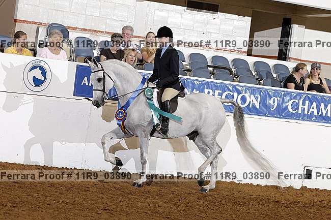 Proof 11r9_03890
