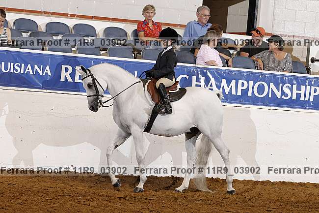 Proof 11r9_03902