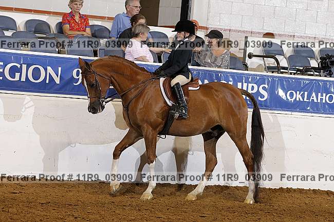 Proof 11r9_03909