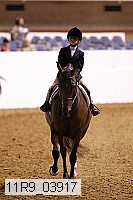 11r9_03917 proof