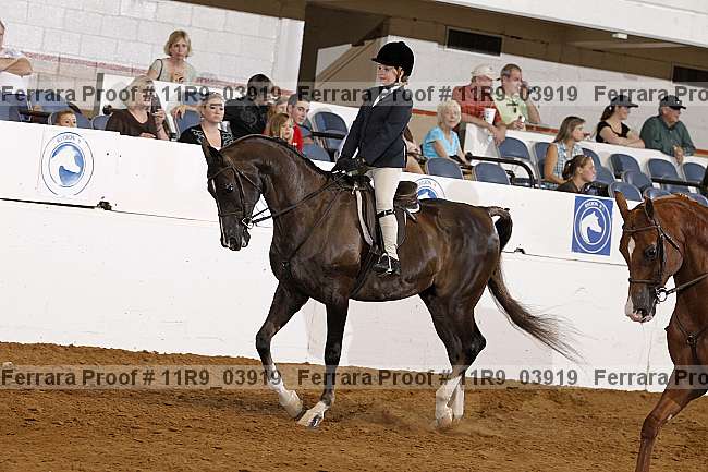 Proof 11r9_03919