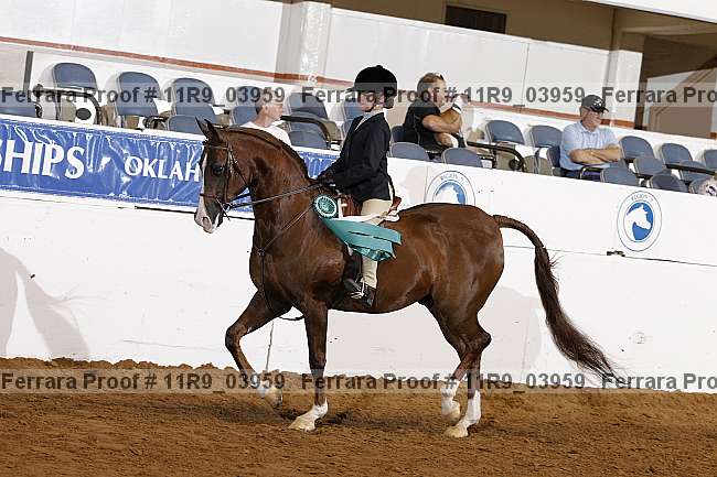 Proof 11r9_03959