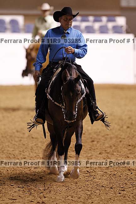 Proof 11r9_03985