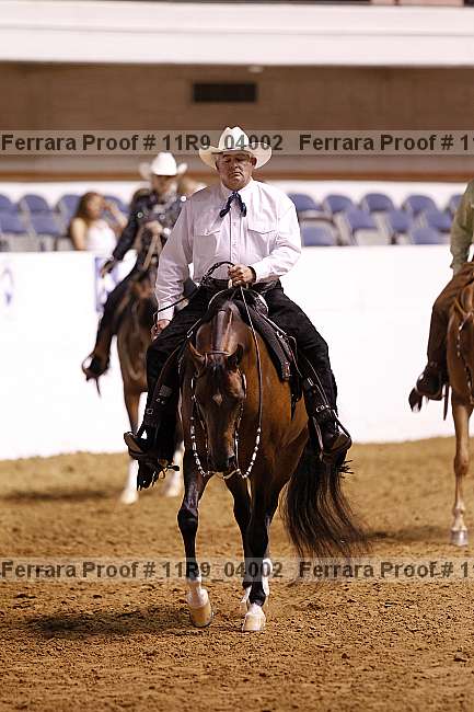 Proof 11r9_04002