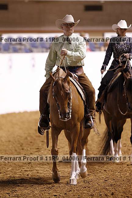 Proof 11r9_04006