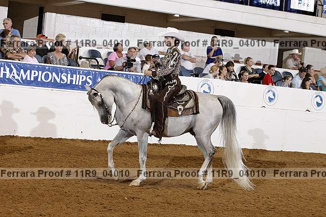 Proof 11r9_04010