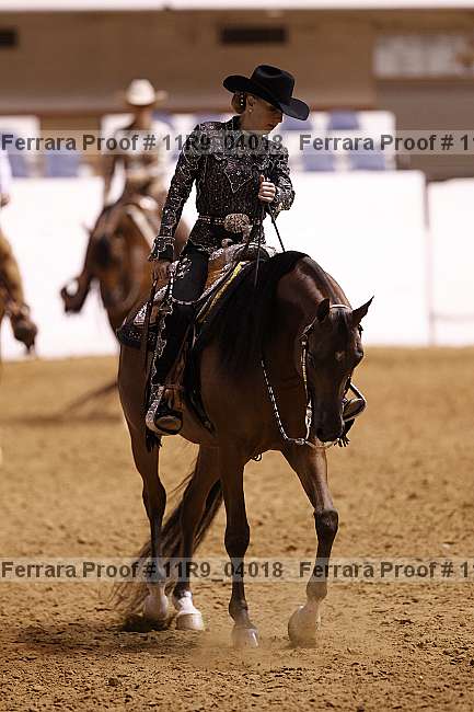 Proof 11r9_04018