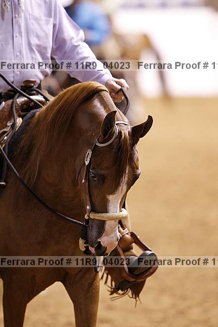 Proof 11r9_04023