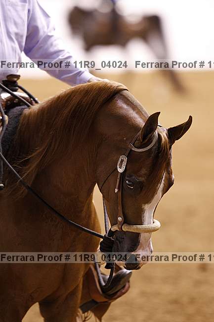 Proof 11r9_04024