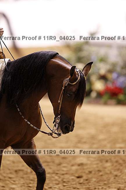 Proof 11r9_04025