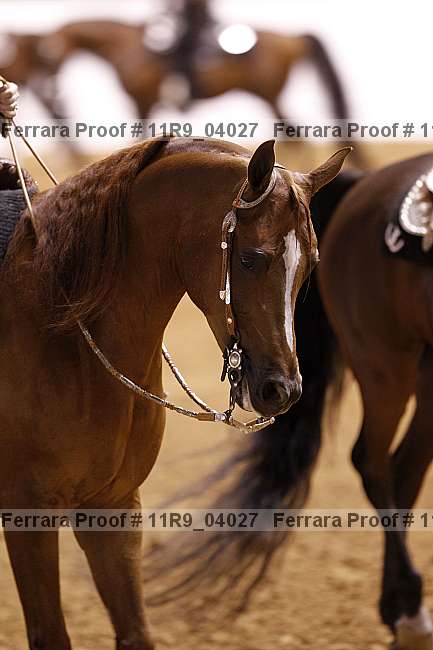 Proof 11r9_04027