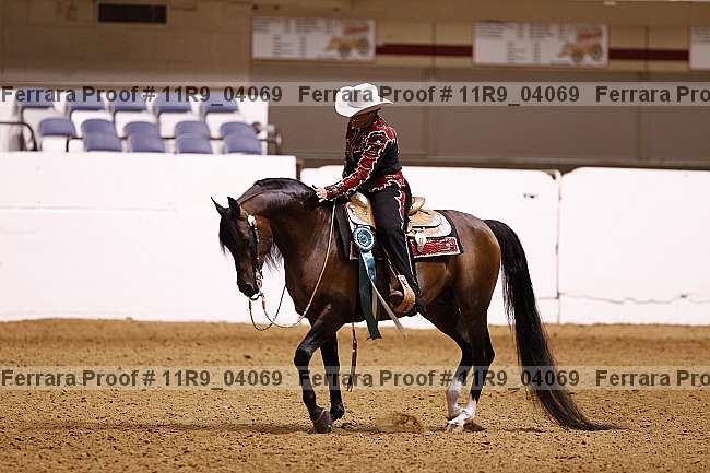 Proof 11r9_04069