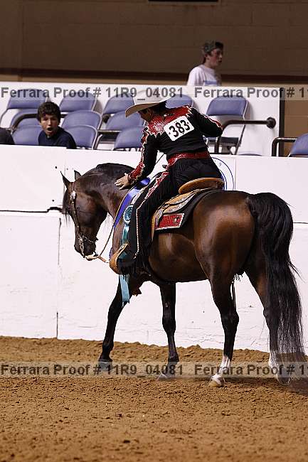 Proof 11r9_04081