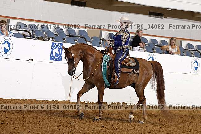 Proof 11r9_04082