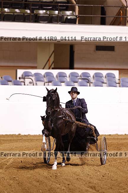 Proof 11r9_04114