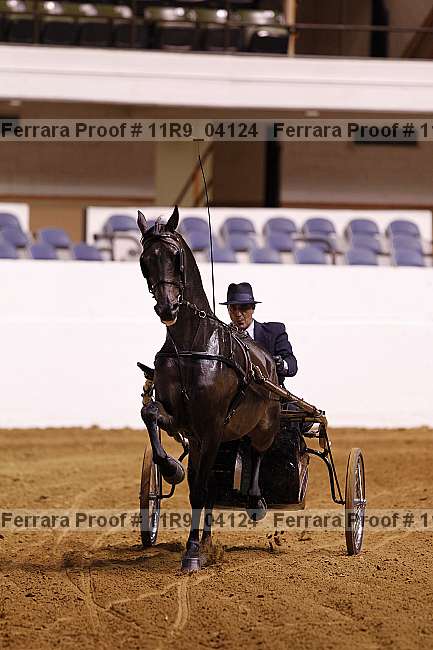 Proof 11r9_04124