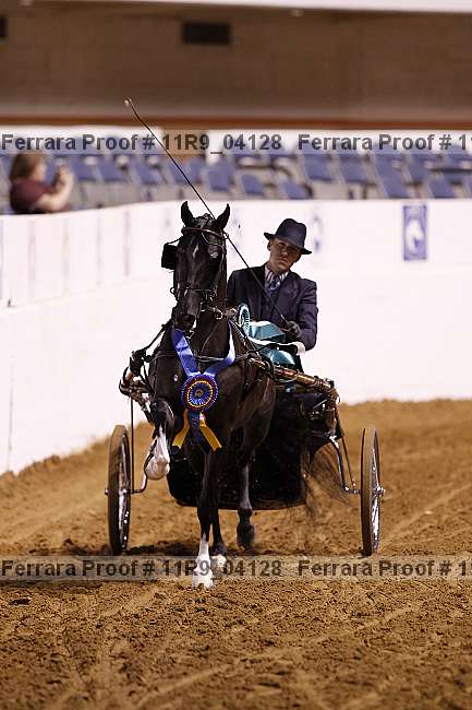 Proof 11r9_04128