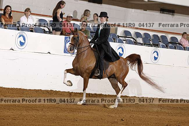 Proof 11r9_04137