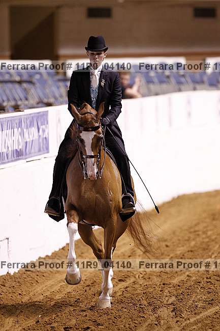 Proof 11r9_04140