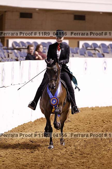 Proof 11r9_04156