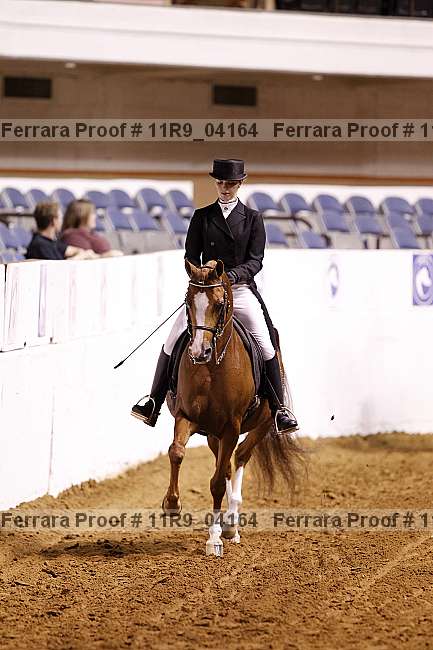 Proof 11r9_04164