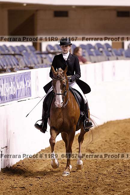 Proof 11r9_04167