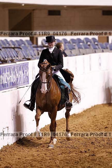 Proof 11r9_04176
