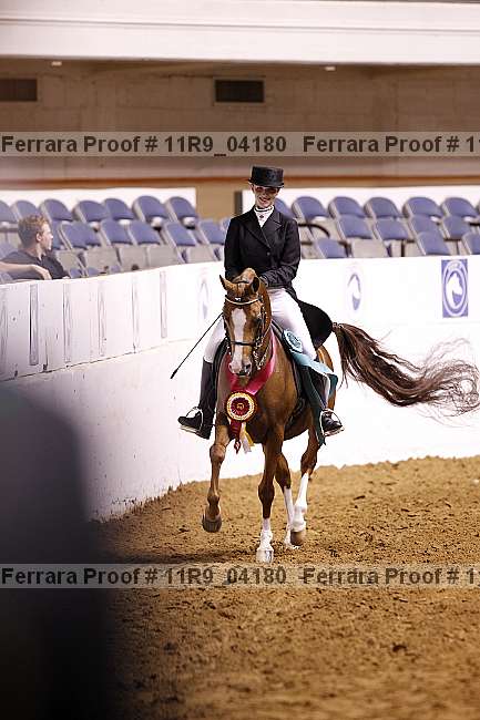 Proof 11r9_04180