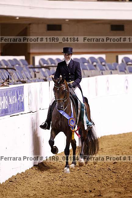 Proof 11r9_04184