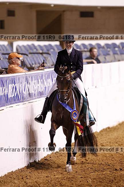 Proof 11r9_04185