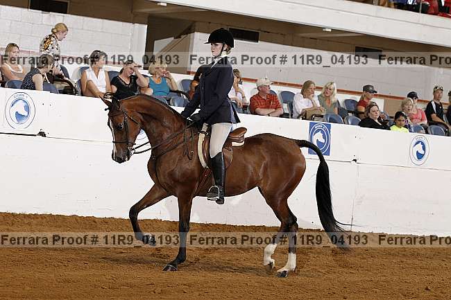 Proof 11r9_04193