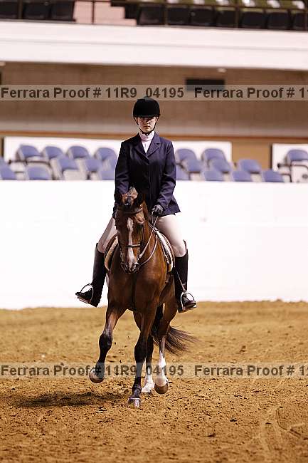Proof 11r9_04195