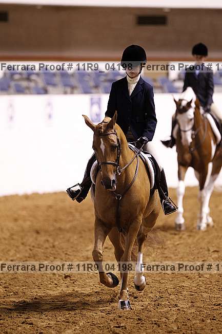Proof 11r9_04198