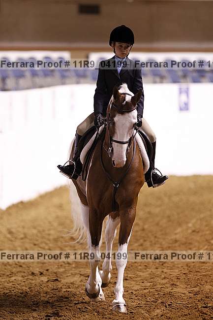 Proof 11r9_04199